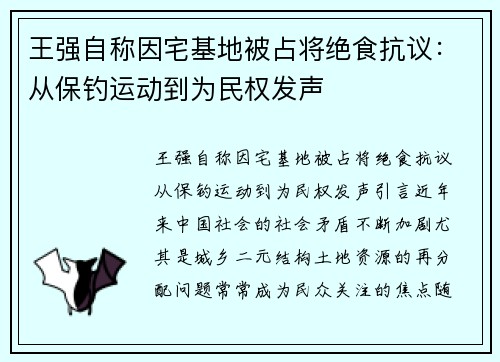 王强自称因宅基地被占将绝食抗议：从保钓运动到为民权发声