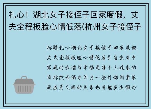扎心！湖北女子接侄子回家度假，丈夫全程板脸心情低落(杭州女子接侄子)