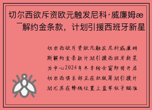 切尔西欲斥资欧元触发尼科·威廉姆斯解约金条款，计划引援西班牙新星